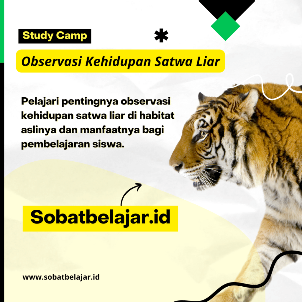 Observasi Kehidupan Satwa Liar